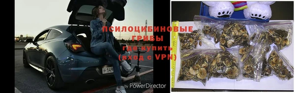 крисы Балабаново