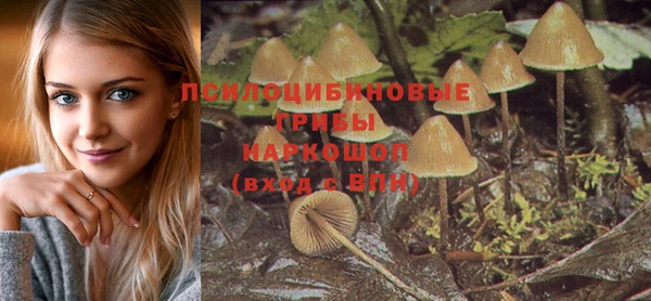 spice Балахна