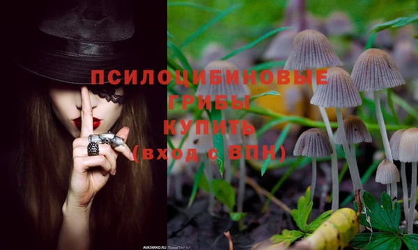 spice Балахна