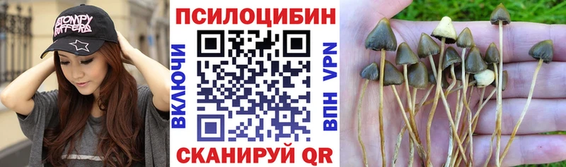 что такое   OMG как зайти  Галлюциногенные грибы GOLDEN TEACHER  Плёс 