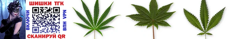 Бошки Шишки SATIVA & INDICA Плёс